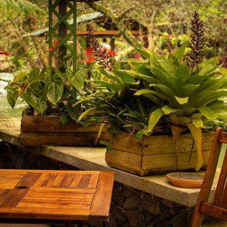 Quinta Da Mo Guest House Furnas  Luaran gambar