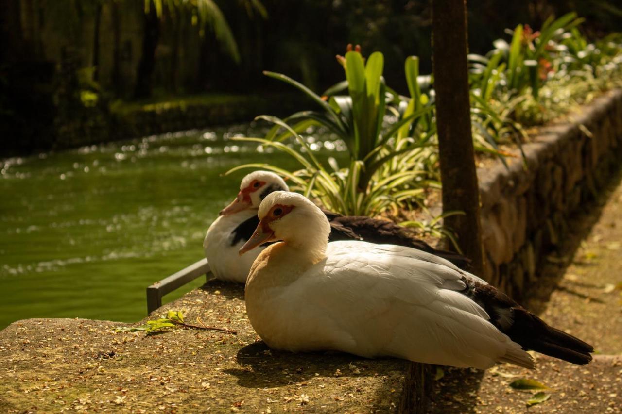 Quinta Da Mo Guest House Furnas  Luaran gambar