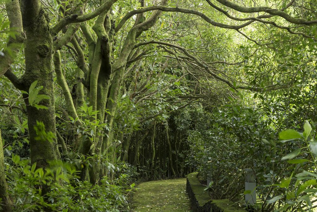Quinta Da Mo Guest House Furnas  Luaran gambar