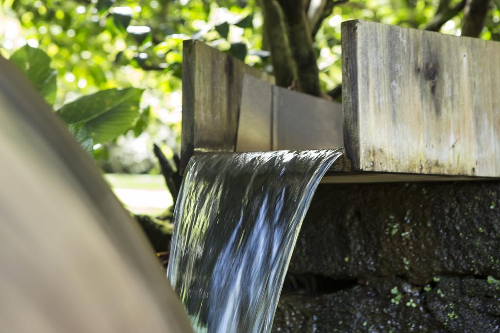 Quinta Da Mo Guest House Furnas  Luaran gambar