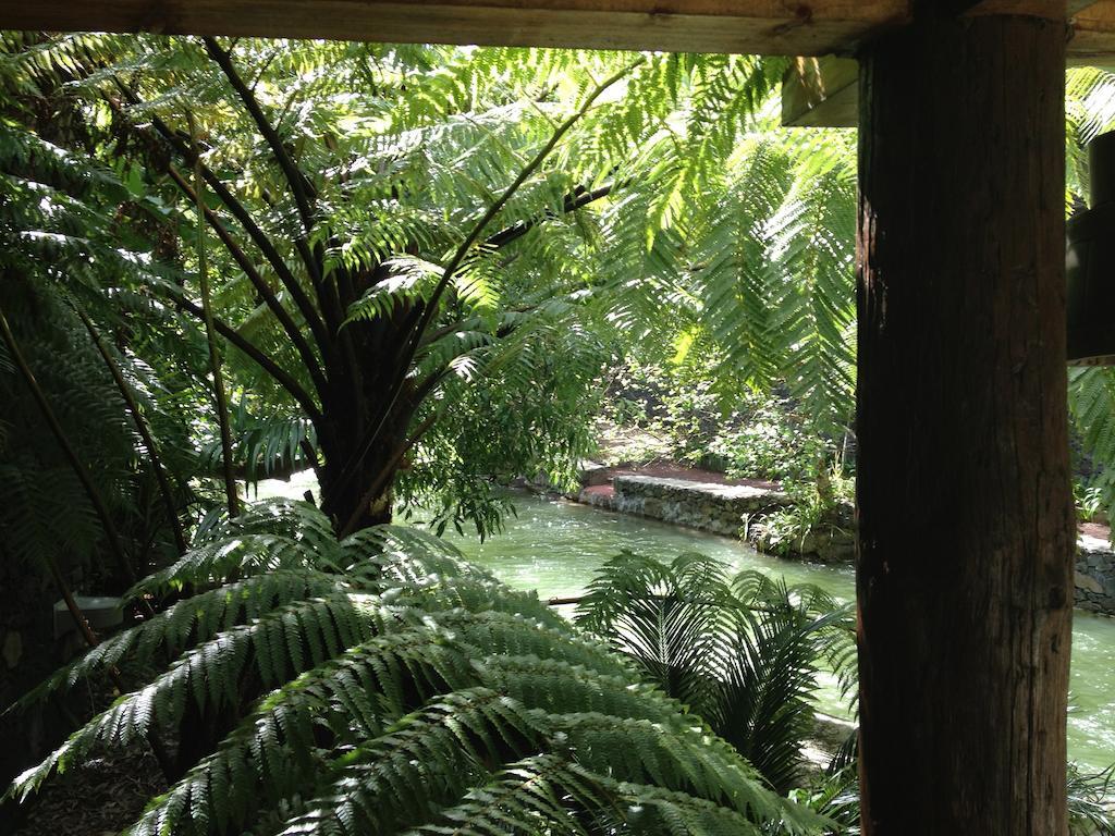 Quinta Da Mo Guest House Furnas  Luaran gambar